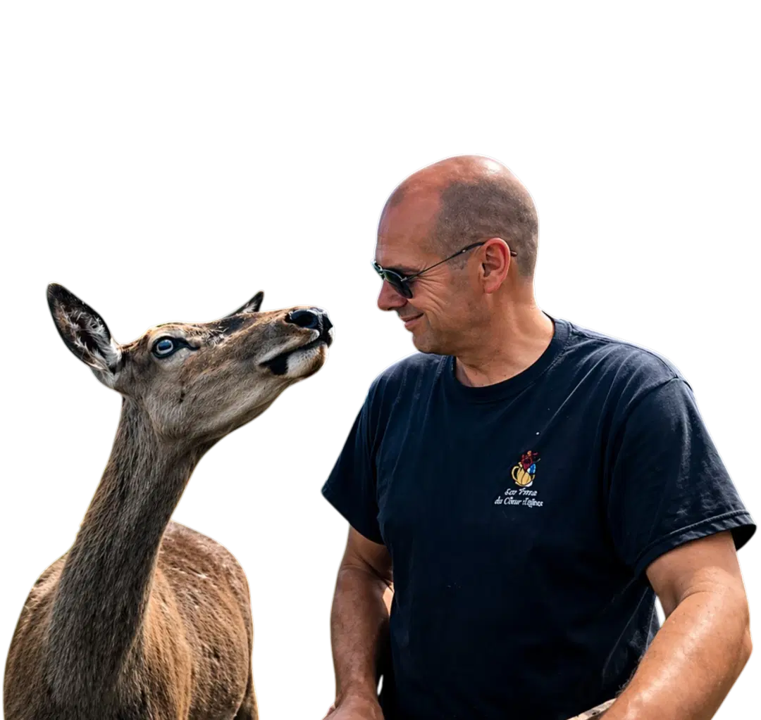 Cerf rouge — visuel À propos de la ferme